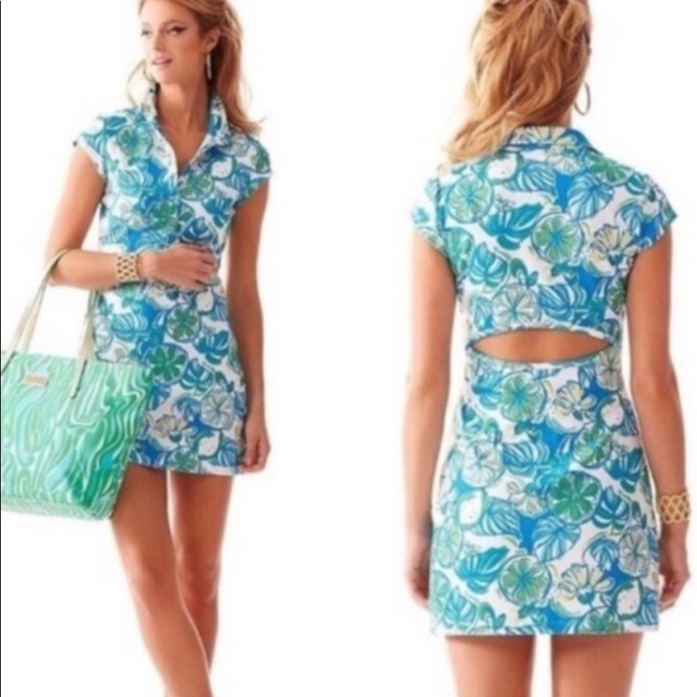 EUC worn once Lilly Pulitzer Rayna polo dress Large